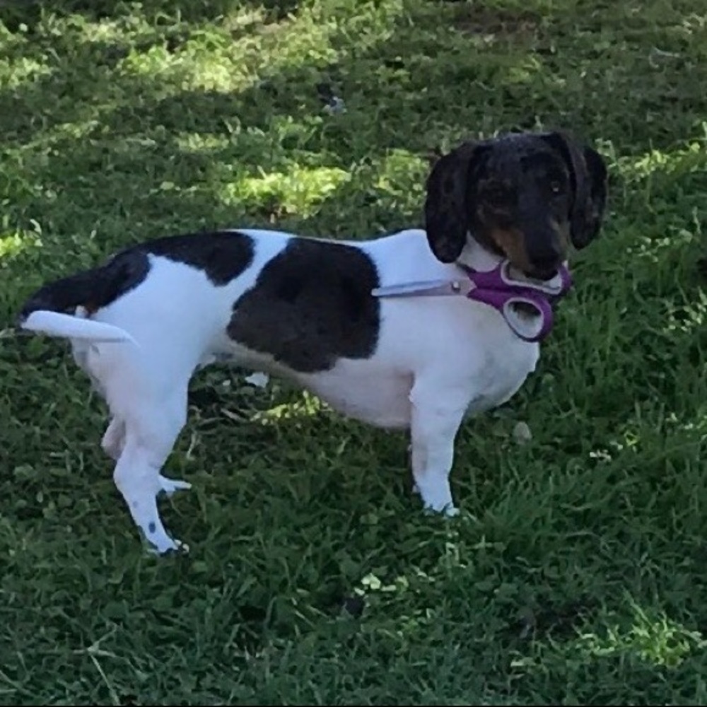 Offers welcome!  My assistant loves to cut prices!